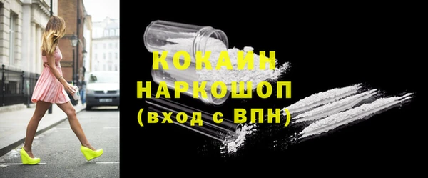 прущие грибы Ростов