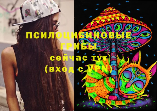 мяу мяу мука Белокуриха