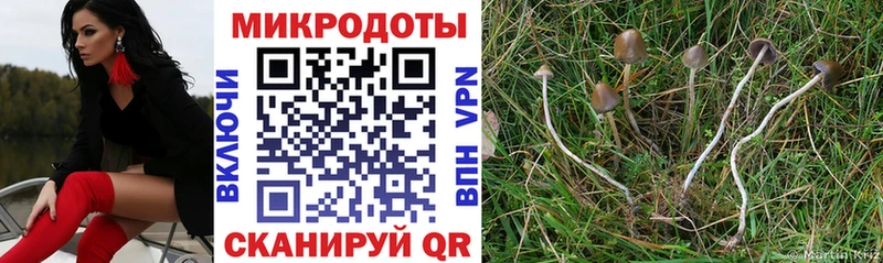 купить наркотики цена  это формула  Галлюциногенные грибы мицелий  Тарко-Сале 